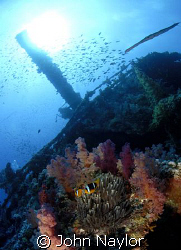 wreck of Aida. Big Brother. by John Naylor 